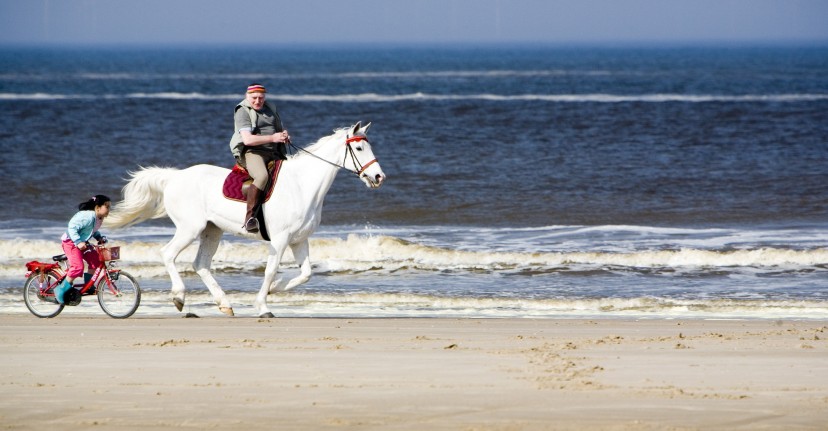 Waar is het Paard van Sinterklaas?