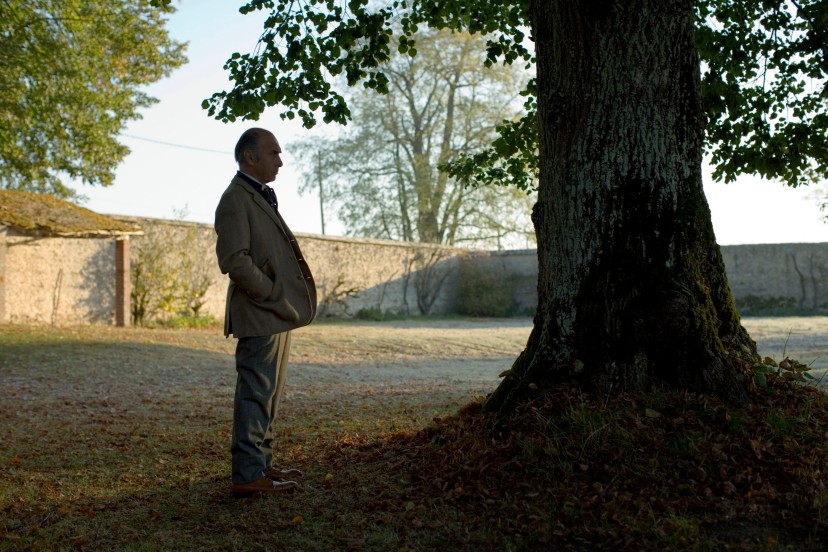 L'arbre et la forêt