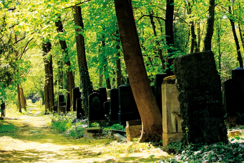 Im Himmel, Unter der Erde. Der Jüdische Friedhof Weißensee