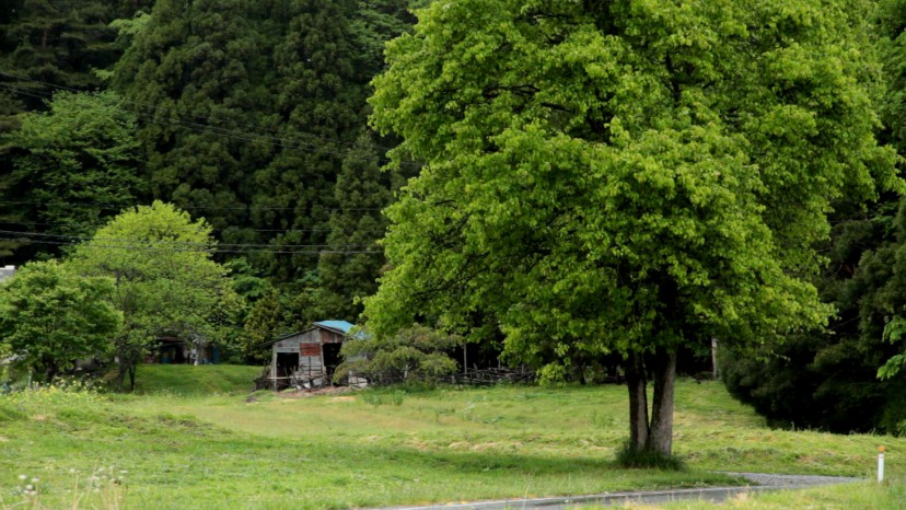 Mujin chitai