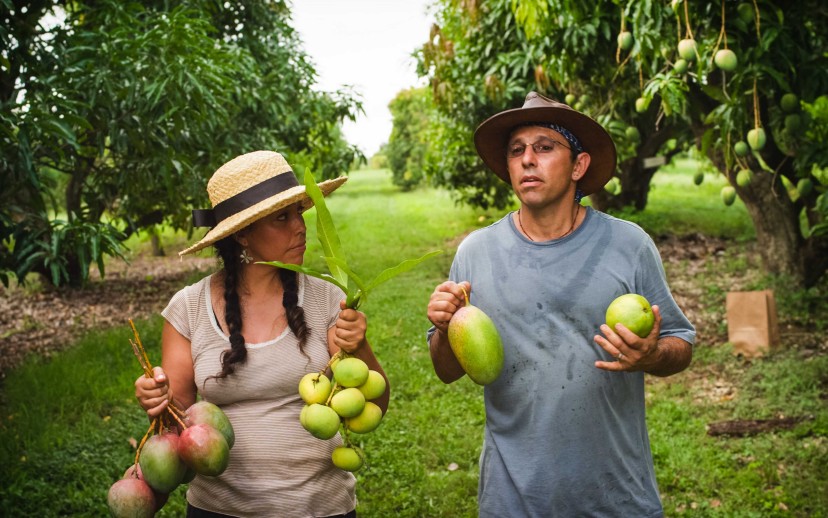 The Fruit Hunters