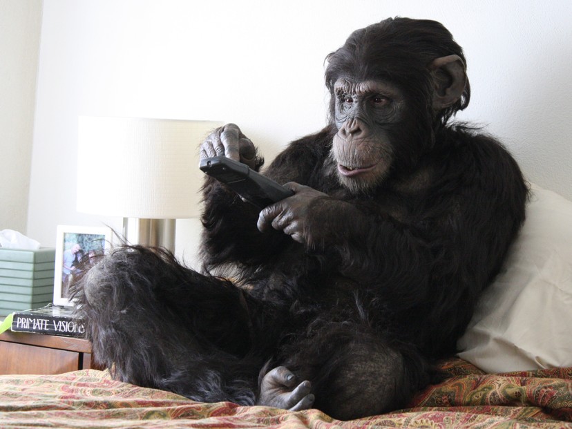 Primate Cinema: Apes as Family