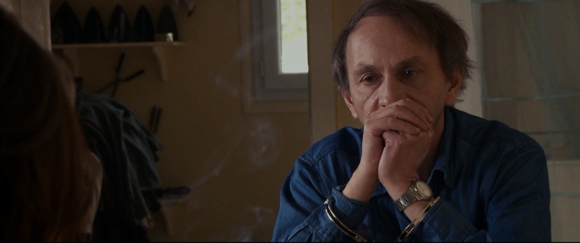 L'enlèvement de Michel Houellebecq