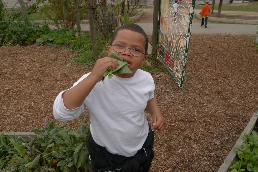 Feeding the Body Politic