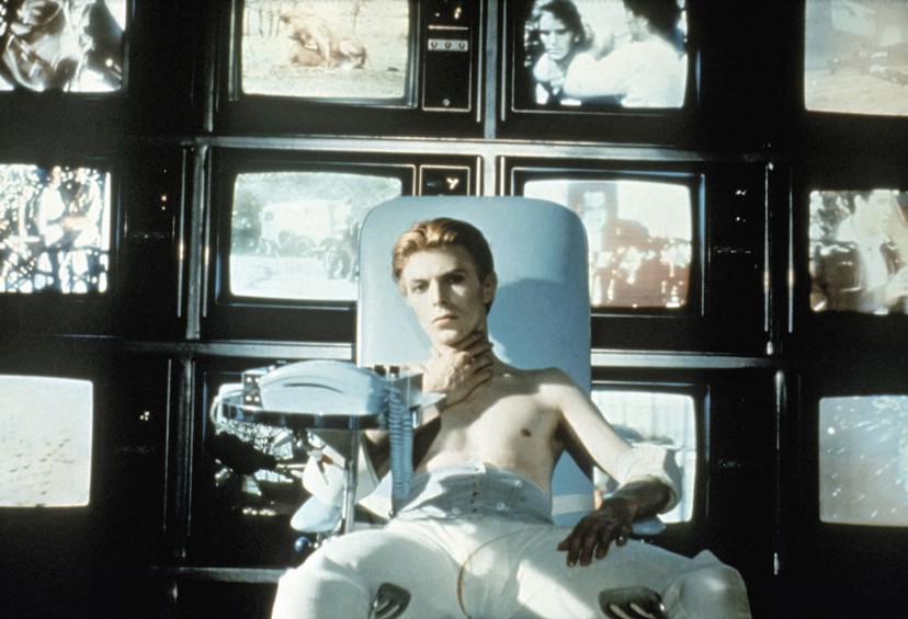 The Man Who Fell to Earth